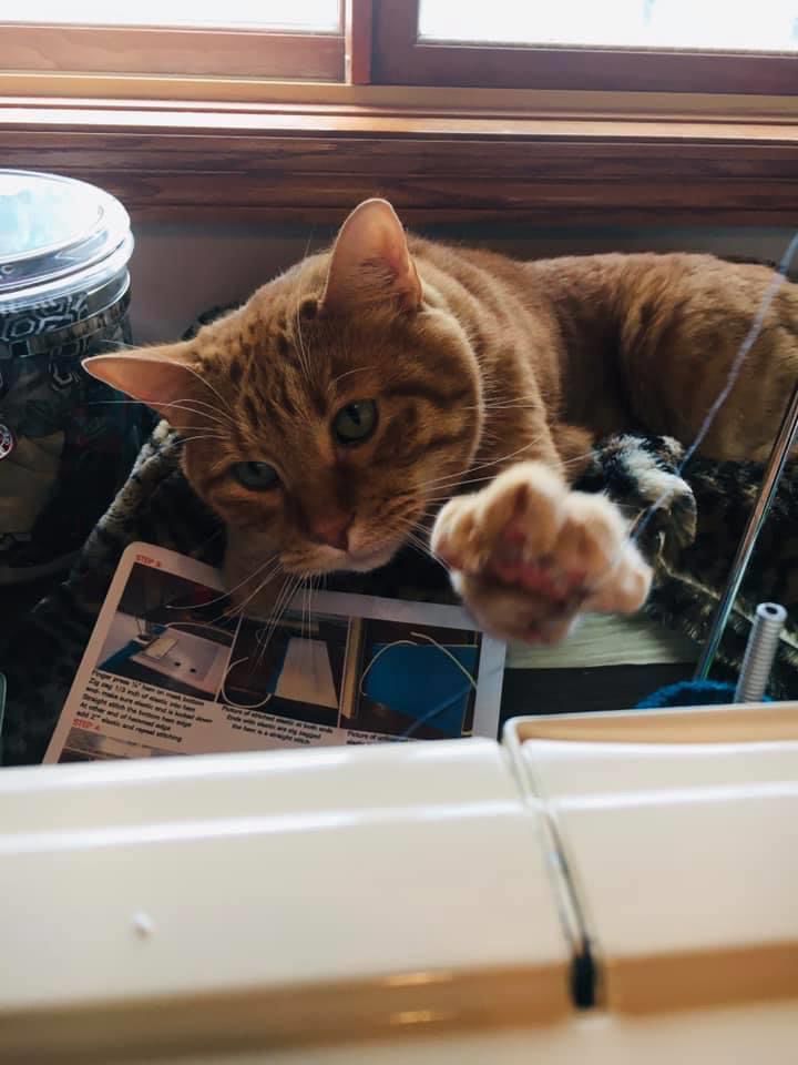 Mask Helper